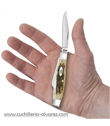 Navaja CASE PEACH SEED JIG MEDIUM TEXAS JACK Amber Bone CA00079