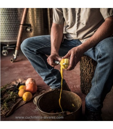 Navaja CASE SADDLEHORN Black & White Fiber Weave CA38929