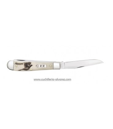 Navaja CASE TRAPPER Sportsman Series Embellished Smooth Natural Bone Pheasant