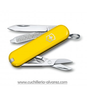 Victorinox CLASSIC SD "SUNNY SIDE" 0.6223.8G