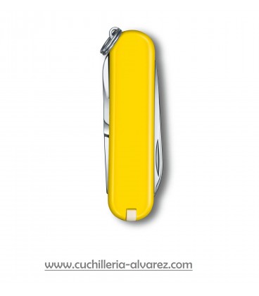 Victorinox CLASSIC SD "SUNNY SIDE" 0.6223.8G