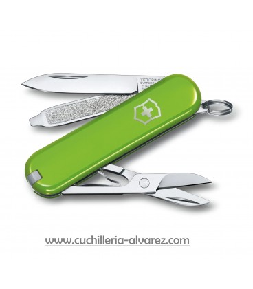 Victorinox CLASSIC SD "SMASERD AVOCADO" 0.6223.43G