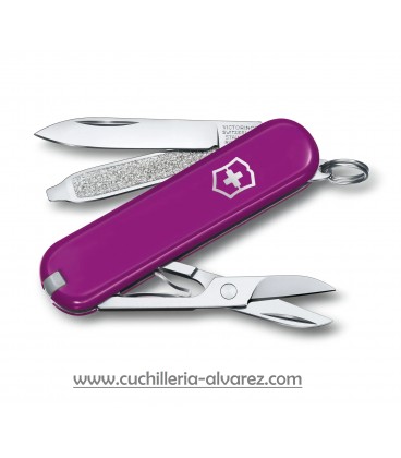 Victorinox CLASSIC SD "TRASTY GRAPE" 0.6223.52G