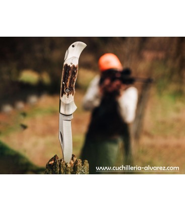 Navaja BOKER OPTIMA Hirschhorn 113004ST