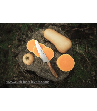 Cuchillo ARCOS cocina Serie NORDIKA 160 mm 165900