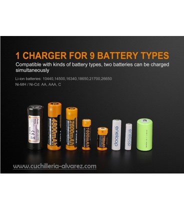 Cargador baterias Fenix ARE-A2