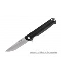 Buck LANGFORD BLACK Linerlock 251BKS