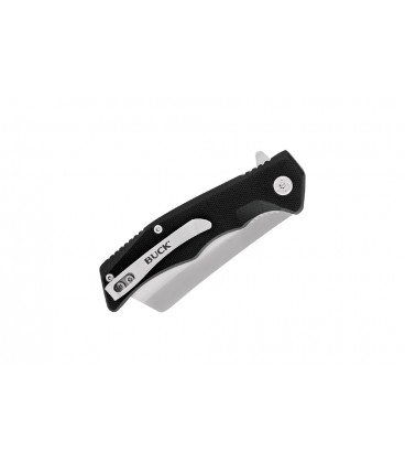 Buck TRUNK BLACK Linerlock 252BKS