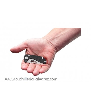 Buck Budgie Framelock G10 Black BU417BKS