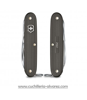 Victorinox PIONEER X 0.8231.L22 THUNDER GRAY ALOX SCALES