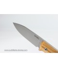 Cuchillo Lionsteel B35 UL