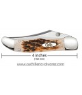 Navaja CASE KICKSTART Amber Bone Peach Seed Jig 03015