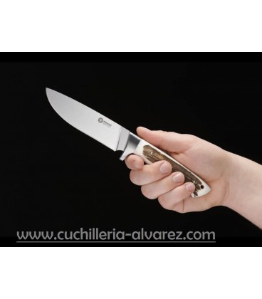 Cuchillo Boker Arbolito Hunter Stag 02BA351H