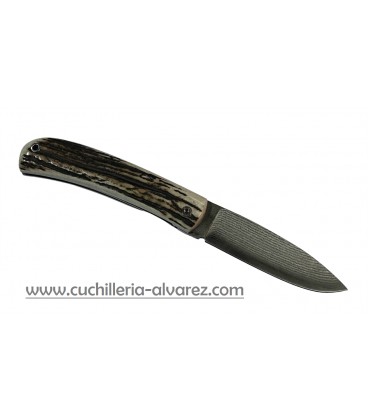 Navaja j&V CAMPERA VG10 Asta de ciervo