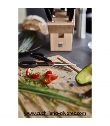 Juego de cuchillos ZWILLING TWIN POLLUX  30786-600 6 piezas.