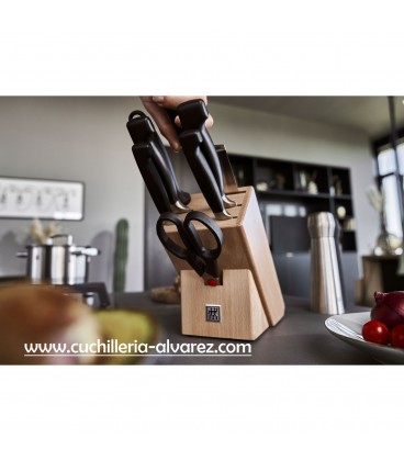 Juego de cuchillos ZWILLING TWIN POLLUX  30786-600 6 piezas.