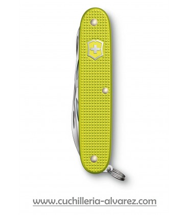 Victorinox PIONEER X 0.8231.L23  ALOX SCALES