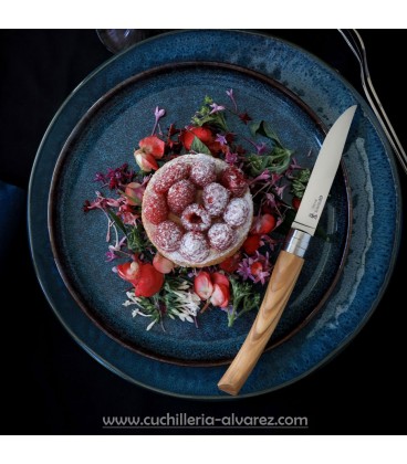 Estuche de 4 cuchillos OPINEL Table Chic Combination Set 002573