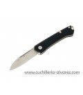 Buck SAUNTER Drop Point Black 250BKS