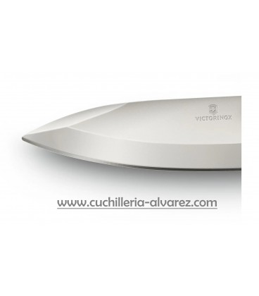 Victorinox EVOKE Alox 0.9415.D26