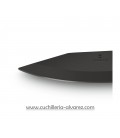 Victorinox EVOKE BSH Alox 0.9425.DS24