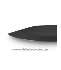 Victorinox EVOKE BSH Alox 0.9425.DS222