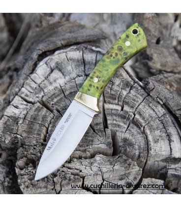 Muela COLIBRI Madera estabilizada lima COL-7.TO