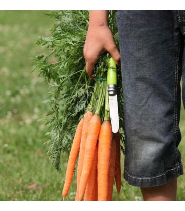 Navaja Opinel Nº7 INOX Verde punta redonda "POMME" 001700