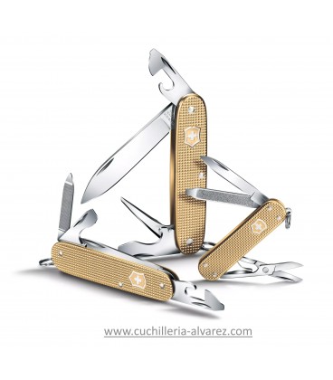 Victorinox CLASSIC ALOX 2019 0.6221.L19