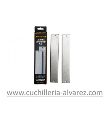 Worksharp Juego de 2 placas de diamante WS5291