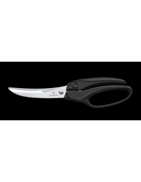 Tijeras para aves Professional 7.6344