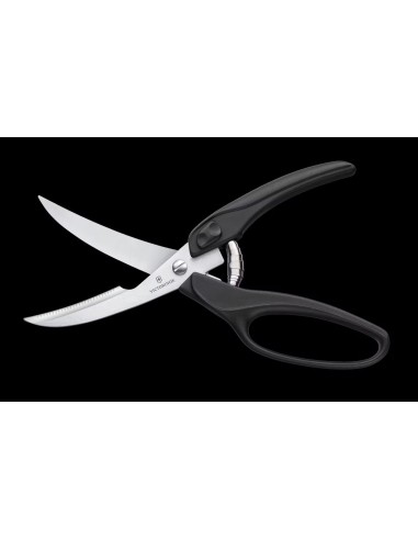 Tijeras para aves Professional 7.6344