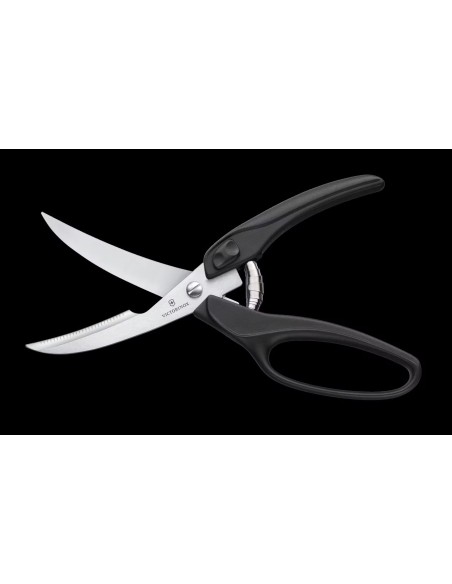 Tijeras para aves Professional 7.6344