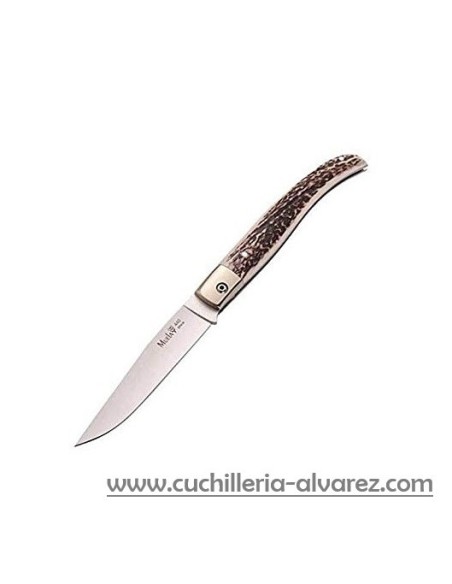 Navaja Muela P-8VA con asta de ciervo y virola de alpaca