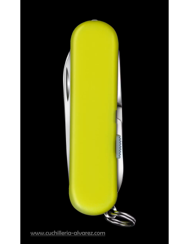 Victorinox SIGNATURE LITE Emergency Tool 0.6226.E808