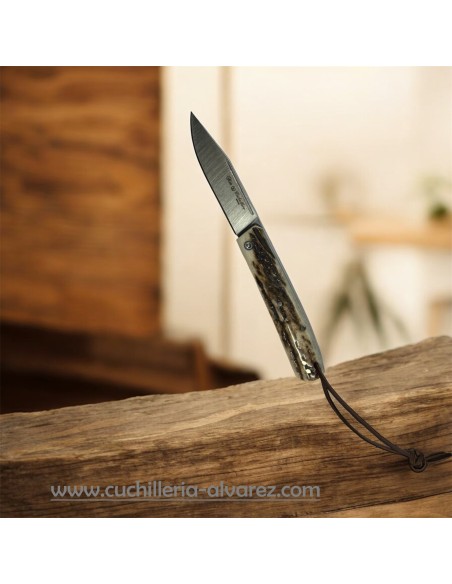 Navaja Nieto CABALLERO Ata de Ciervo 470-CIERVO