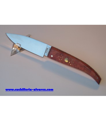 Navaja Exposito P/504-AR