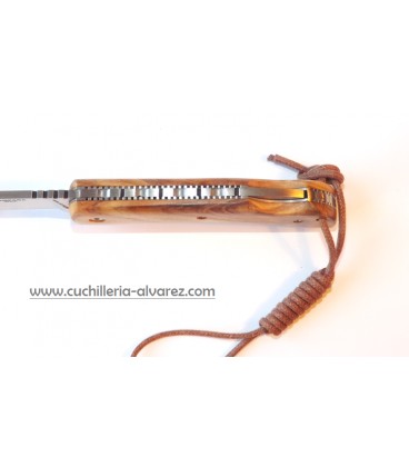 Navaja 159-O Nieto CAMPAÑA olivo