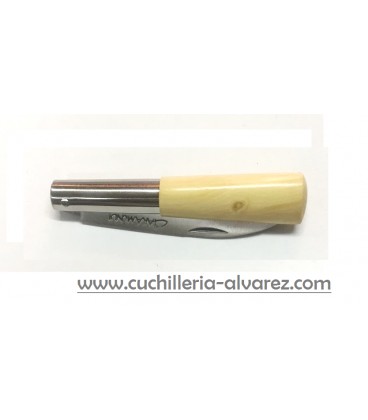 TARAMUNDI 018 boj punta recta