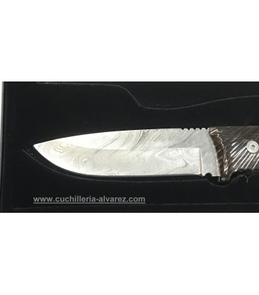 Nieto SG2G  Ed. limtada Damasco