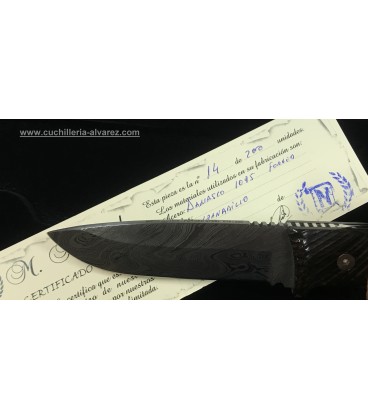 Nieto SG2G  Ed. limtada Damasco